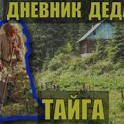 Прикольные И Смешные Рассказы Дневник Лешего