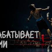 Бойка Бойцовский Ринг