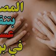 قصص سكس محارم احلا سكس اوووف