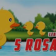 5 Little Ducks Bleta Tm