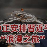 Lt視界 浪漫之旅