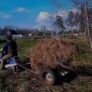 Некошеная Поляна