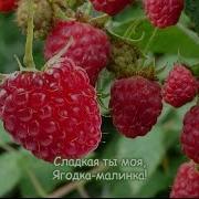 По Малину В Сад Пойдём Песни Для Самых Маленьких
