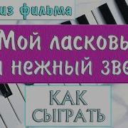 Мой Ласковый И Нежный Зверь На Синтезаторе