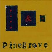Need 2 Pinegrove Instrumental