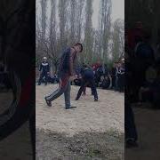 Алтыш Палбан