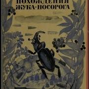 Похождение Жука Носорога