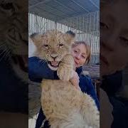 Обнимашки Целовашки