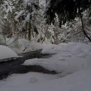 Nature Sounds Зимний Лес И Река В Канаде Winter Forest And River Canada Звук Речки