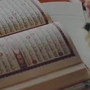 Men Bu Qiroatni Eshitib Yeg Lab Yubordim Juda Go Zal Qiroat
