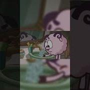 Бараш Эдит С Тик Тока