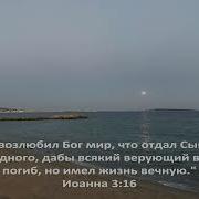 Библия За Год День 227