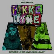 Pikkewyne Feat Meneer Cee Naiidy