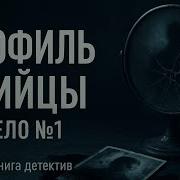 Аудиокнига Профиль Убийцы