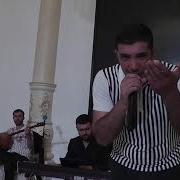 Новый Курдский Гованд 2019