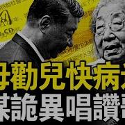 新闻看点李沐阳 5 15