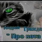Андрей Гражданкин Про Кота