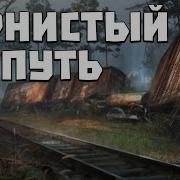 Тернистый Путь