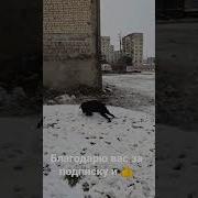 Когда Я Одеваю Костюм Со Мнлй Шутки Плохи