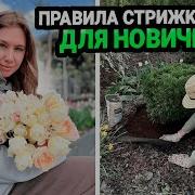 Мои Правила