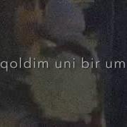 Chokip Ketm Uni Kozlariga
