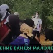 Вандалы Напали На Трамвай