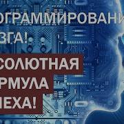 Сатья Программирования Мозга