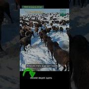 Календарь 2023 Казахстан