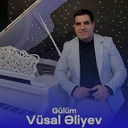Vusal Eliyev Gulum