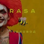 Show Пчеловод Morgenshtern X Rasa Mashup By Lovelybeats