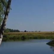 Та Река Где Ты Родился Хиль