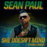 Sean Paul She Doesn T Mind Pitbull Remix