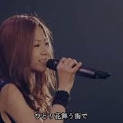 仓木麻衣 Time After Time 花舞う街で