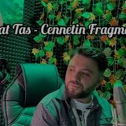 Tut Elimden Kalk Gidelim Huzuru Yok Bu Şehrin
