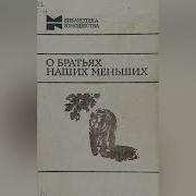 Хитрюга Носов