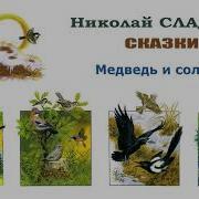Медведь И Солнце Слушать