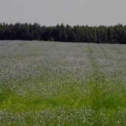 Мой Край