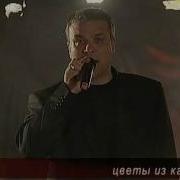 Александр Дюмин Альбом Цветы Из Камня