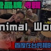 工作废柴