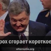 Как Порох Сгорает Короткое Лето