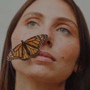 Lily Meola Butterfly