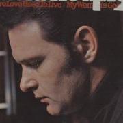 Davids Song David Houston