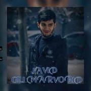Javid Гули Марворид