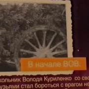 Видио Владимира Куриленко