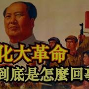 文化大革命毛泽东