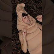 Worms Meme But With Real Worms