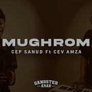 Sanud Mugrom Versi Regea