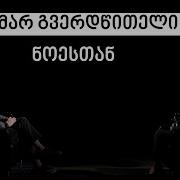 თამარ გვერწითელი