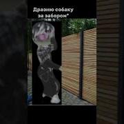 Юлий Ультанул Тг Завидные Котики