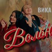Вика Ветерок Черный Мерин